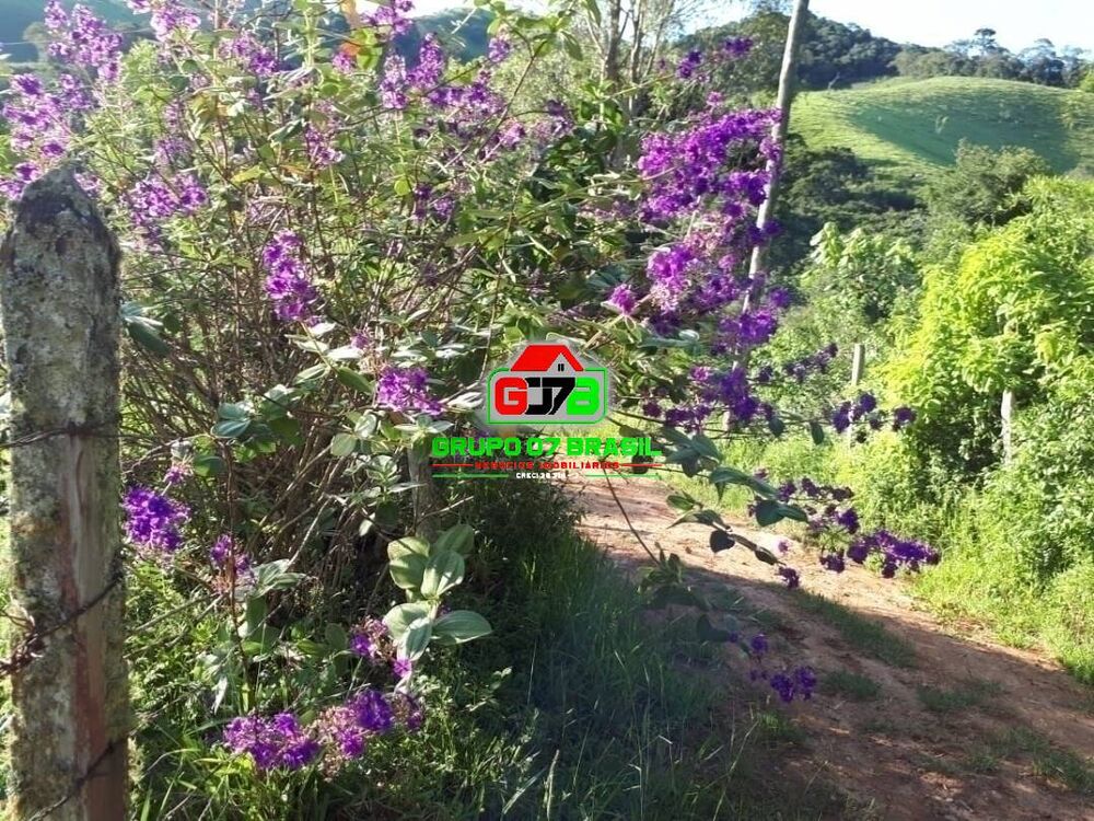 Sítio, 2 quartos, 80 m² - Foto 3