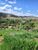 Terreno, 2 hectares - Foto 9