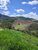 Terreno, 2 hectares - Foto 6