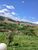 Terreno, 2 hectares - Foto 1