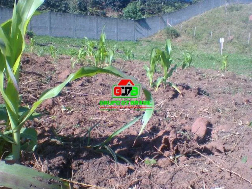 Terreno, 500 m² - Foto 5