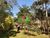 Terreno, 5000 m² - Foto 10