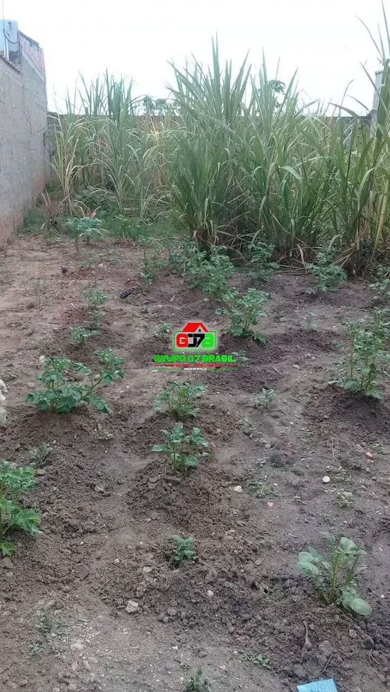 Terreno, 180 m² - Foto 11