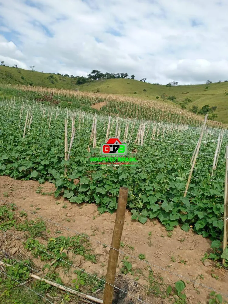 Fazenda, 180 m² - Foto 23