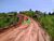 Terreno, 2 hectares - Foto 1