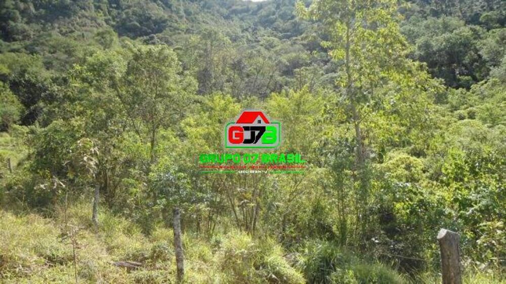 Terreno, 7 hectares - Foto 15
