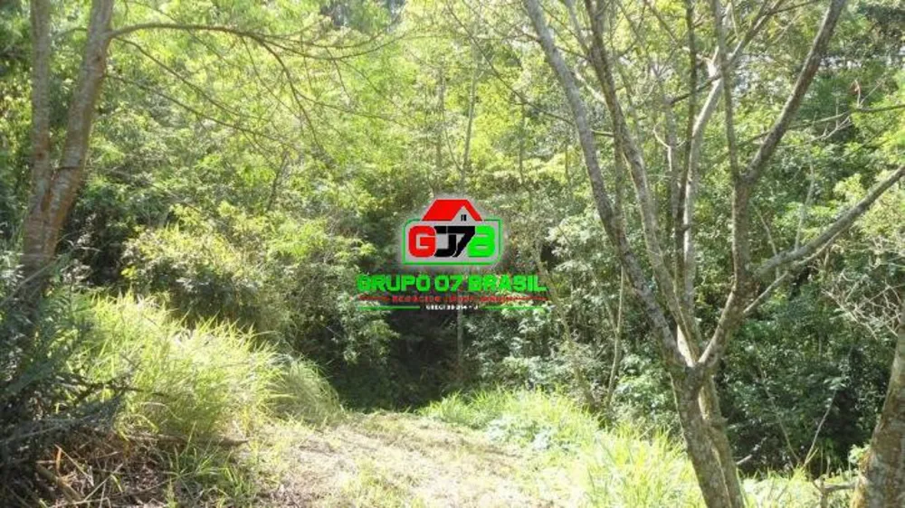 Terreno, 7 hectares - Foto 23