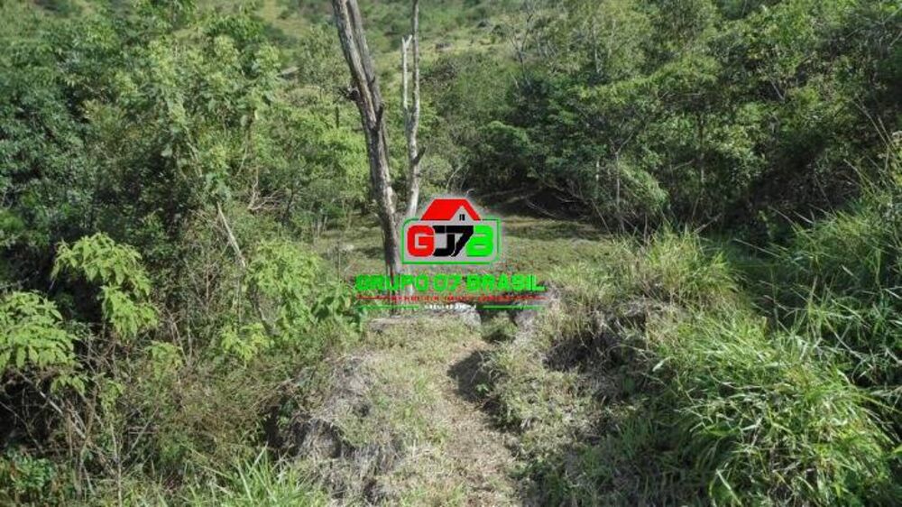 Terreno, 7 hectares - Foto 12