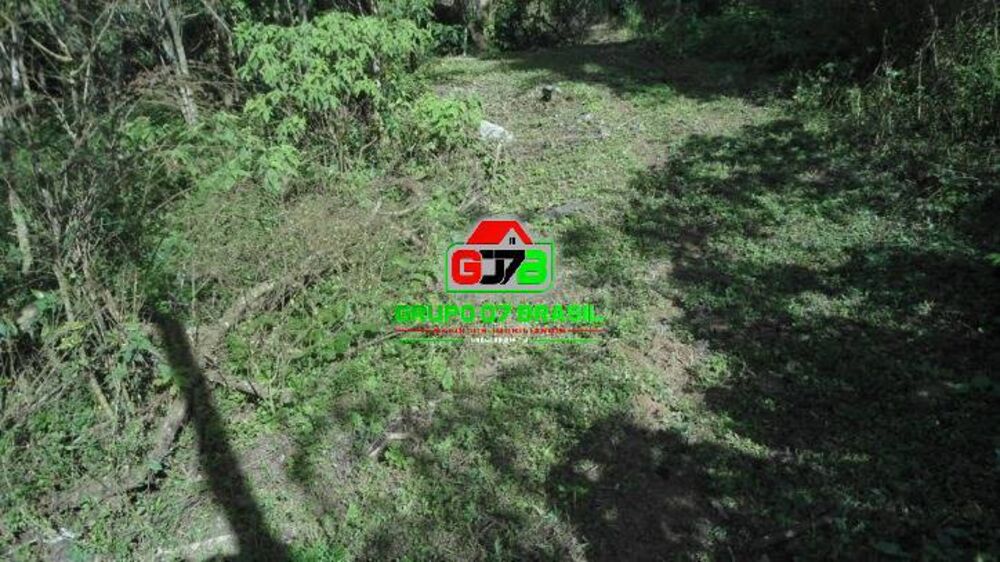 Terreno, 7 hectares - Foto 6