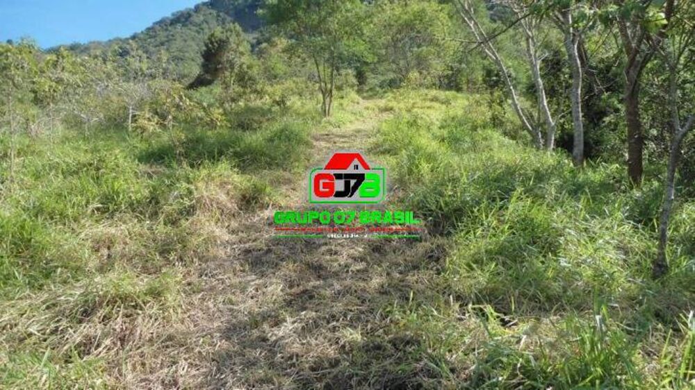 Terreno, 7 hectares - Foto 3