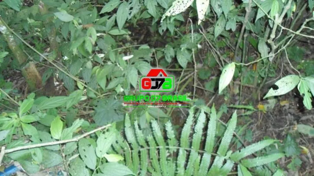 Terreno, 7 hectares - Foto 17