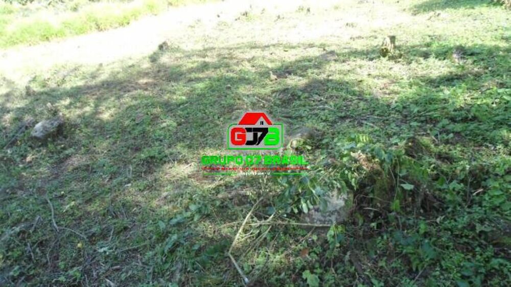 Terreno, 7 hectares - Foto 9