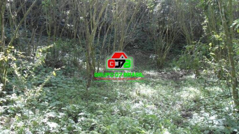 Terreno, 7 hectares - Foto 2