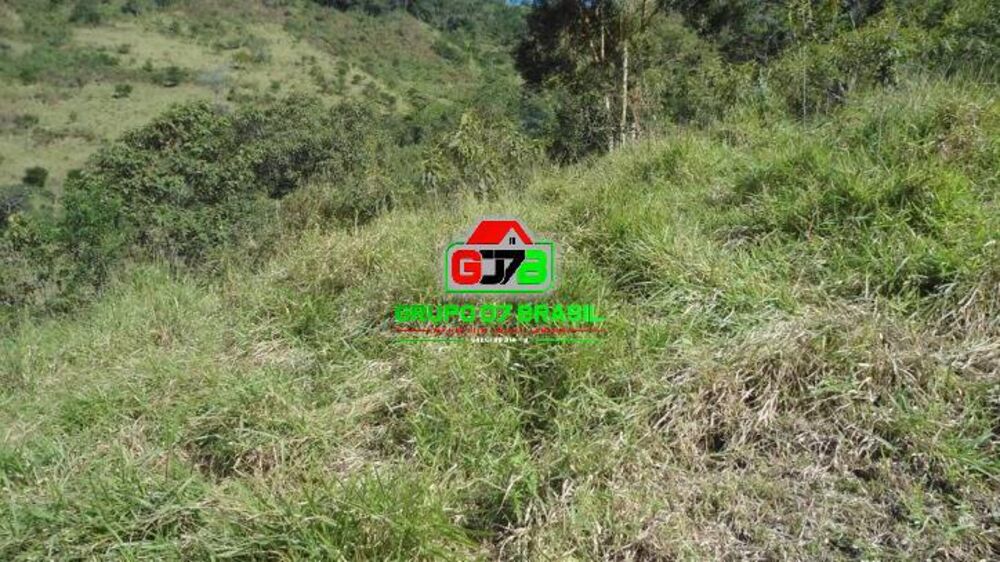 Terreno, 7 hectares - Foto 4