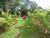 Sítio, 5 quartos, 10 hectares - Foto 4