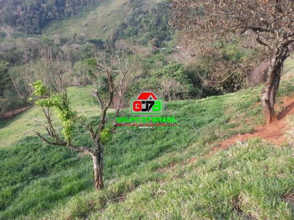 Terreno, 2 hectares - Foto 10