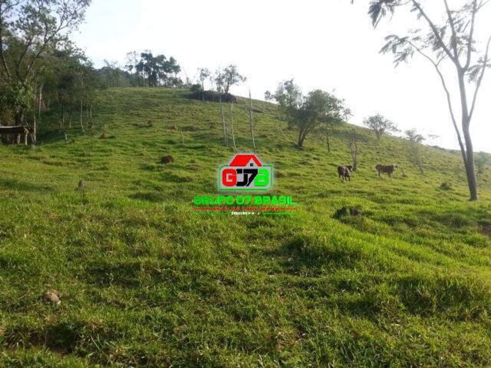 Terreno, 2 hectares - Foto 6