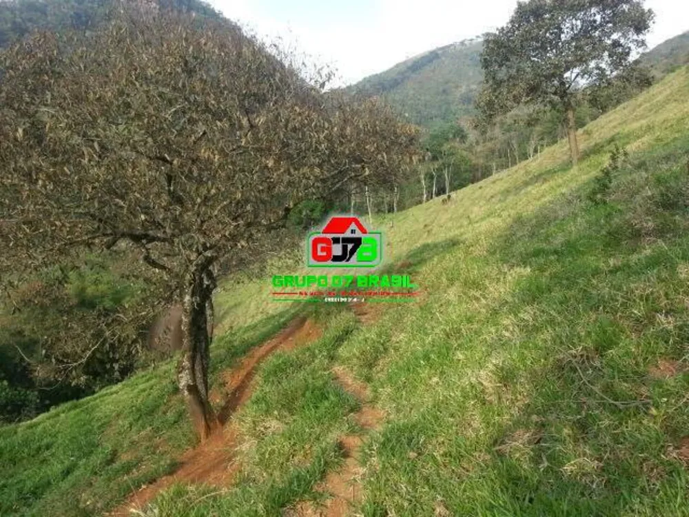 Terreno, 2 hectares - Foto 19
