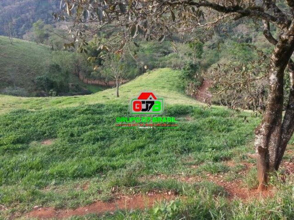 Terreno, 2 hectares - Foto 3
