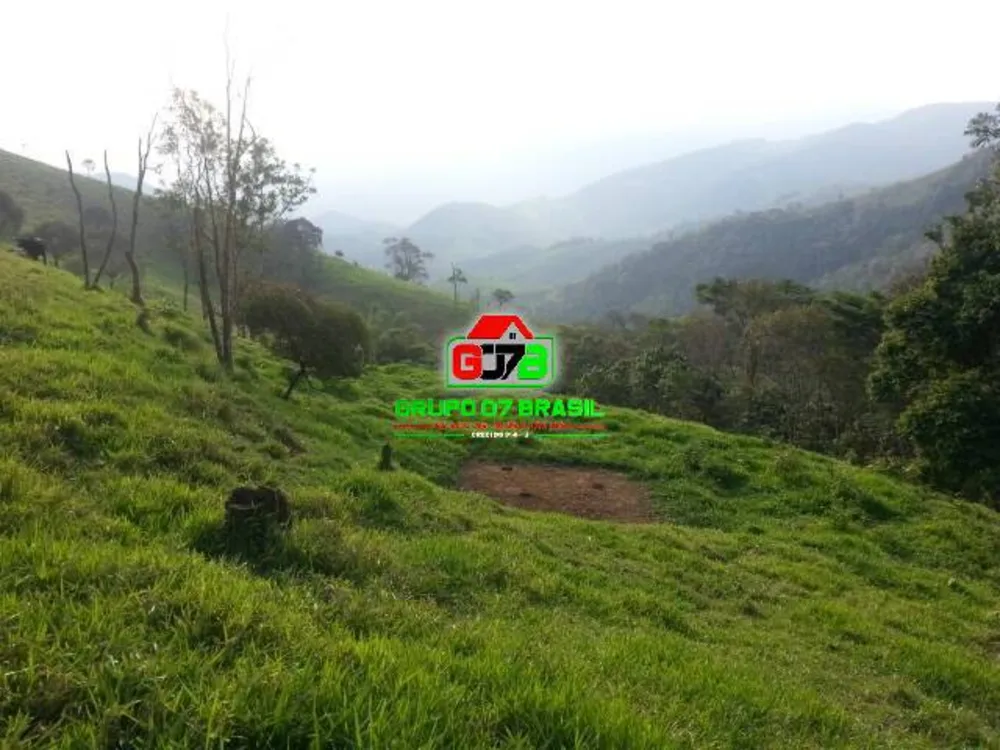 Terreno, 2 hectares - Foto 6