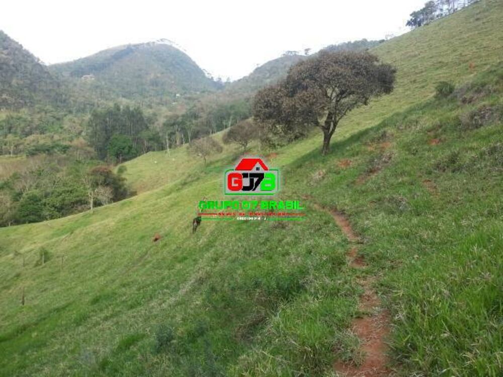 Terreno, 2 hectares - Foto 12