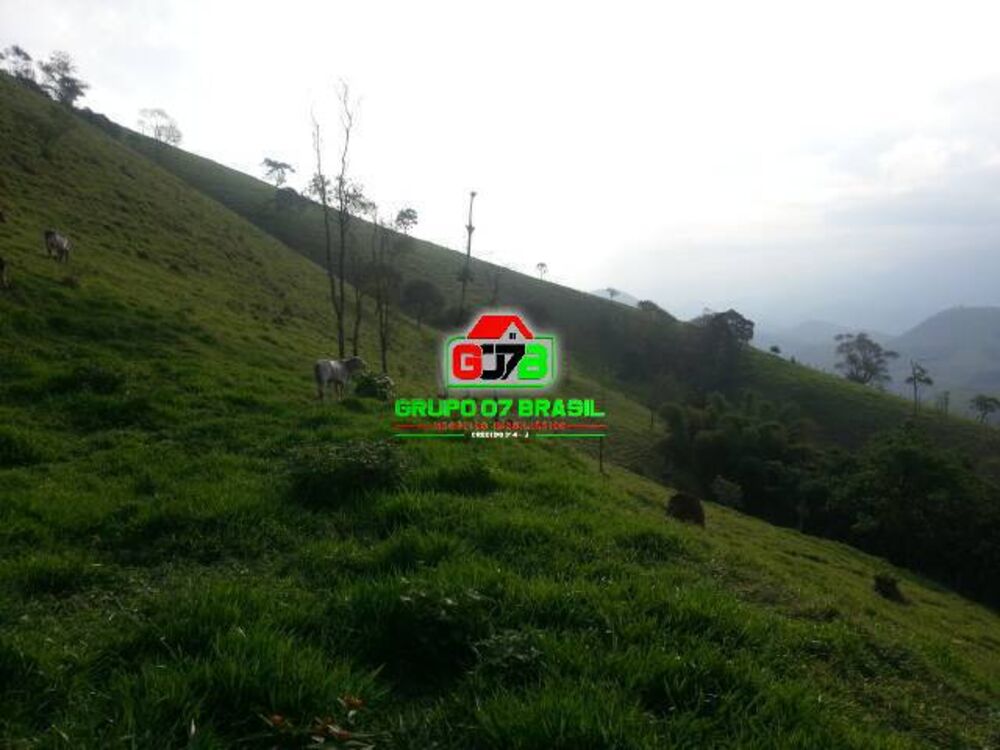 Terreno, 2 hectares - Foto 4