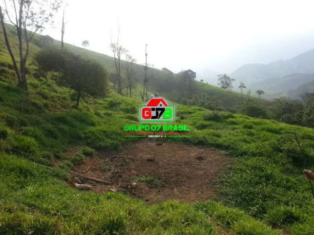 Terreno, 2 hectares - Foto 9