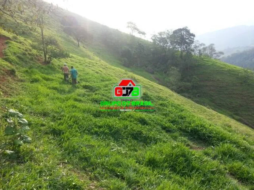 Terreno, 2 hectares - Foto 15
