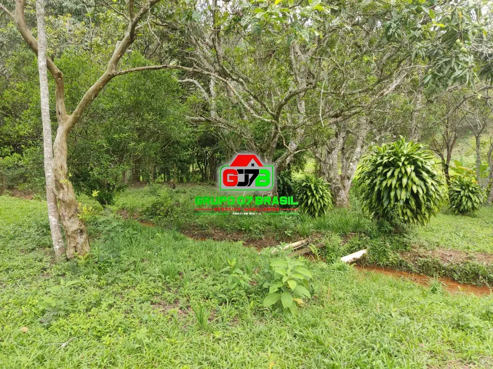 Chácara, 4 quartos, 2000 m² - Foto 2