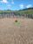 Fazenda, 180 m² - Foto 2