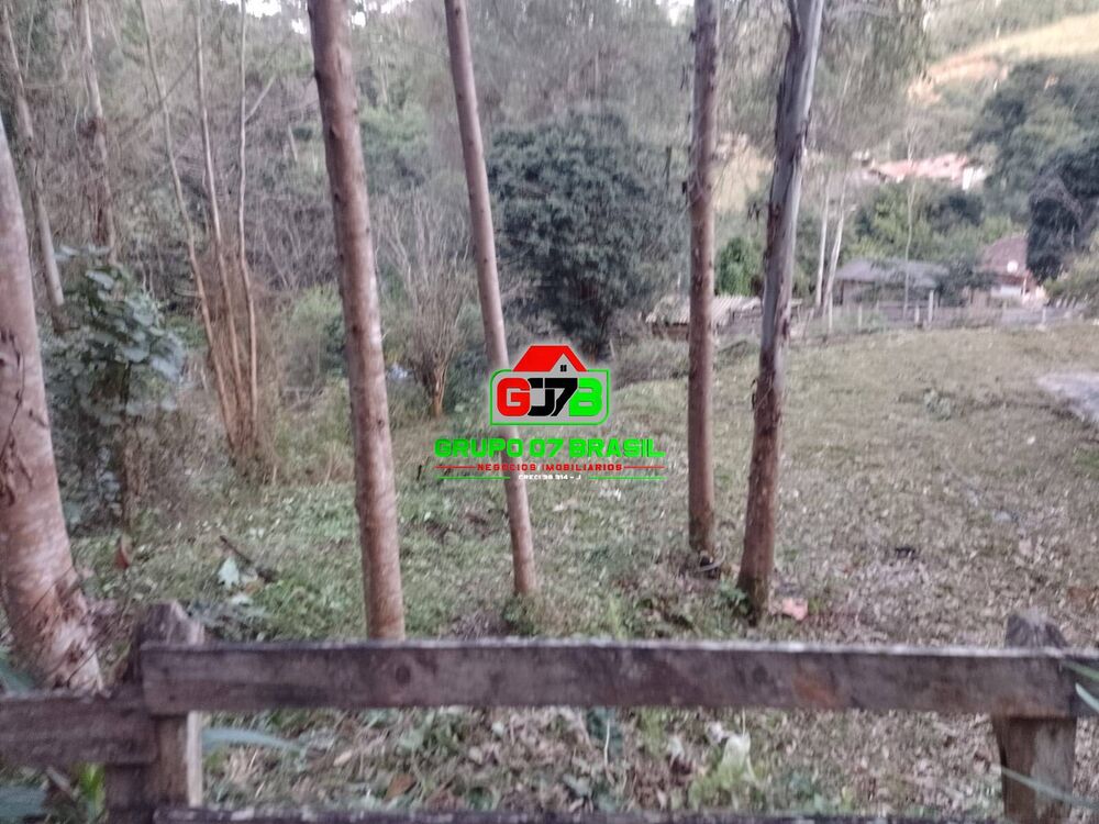 Terreno, 3 hectares - Foto 4