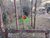 Terreno, 3 hectares - Foto 4