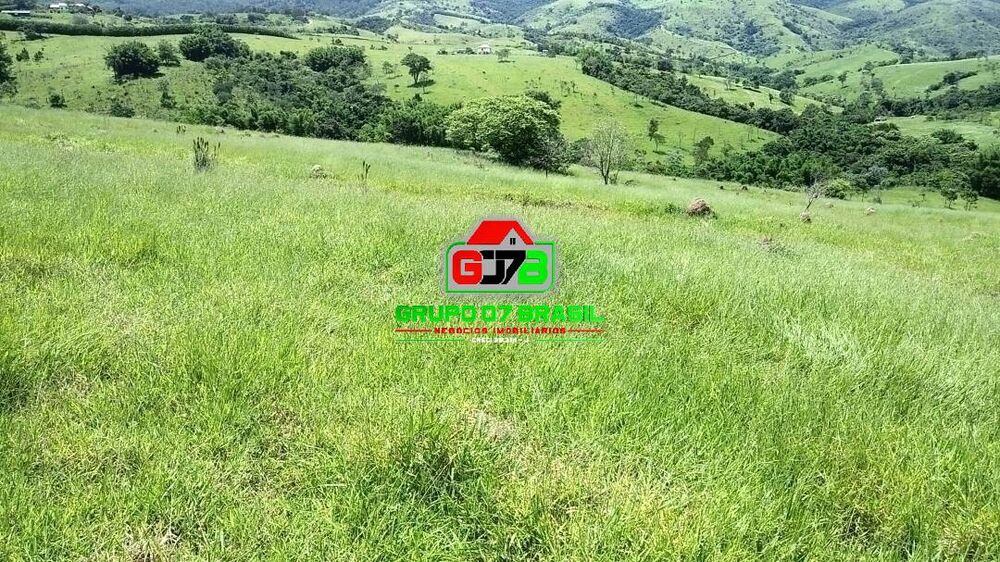 Terreno, 49 hectares - Foto 8