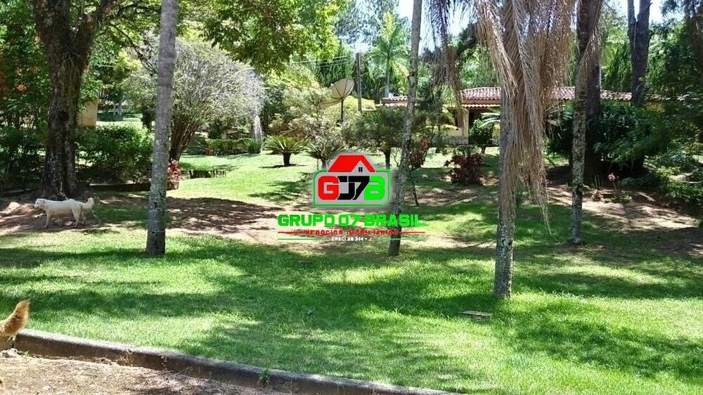 Terreno, 49 hectares - Foto 4