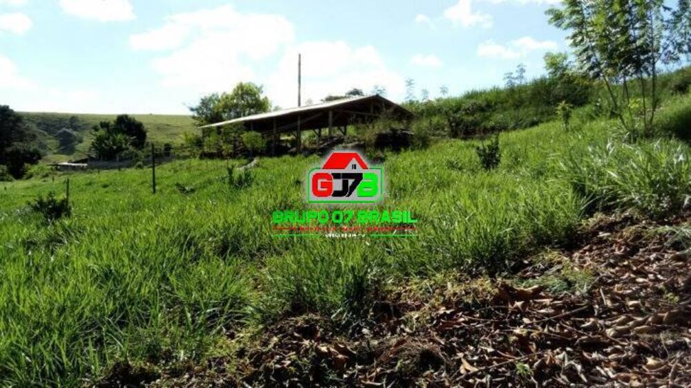 Terreno, 3 hectares - Foto 4