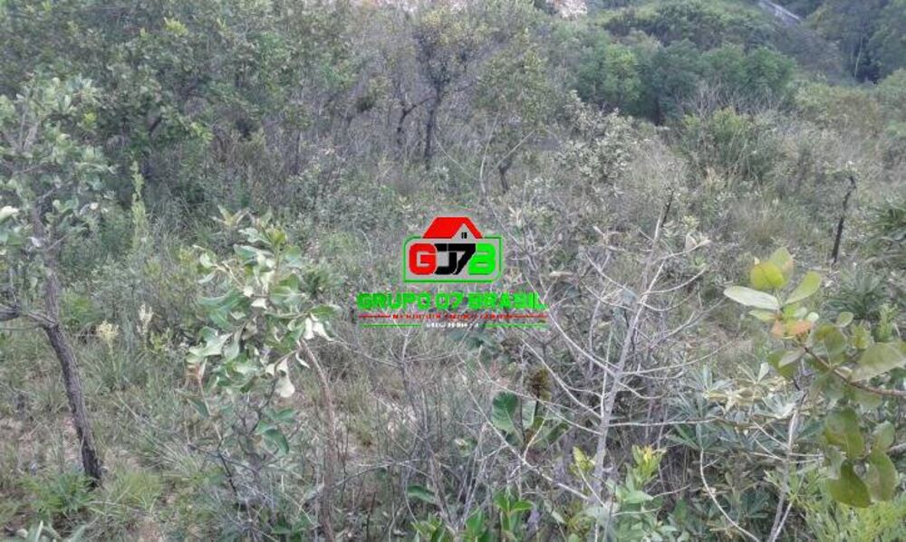 Terreno, 2 hectares - Foto 6