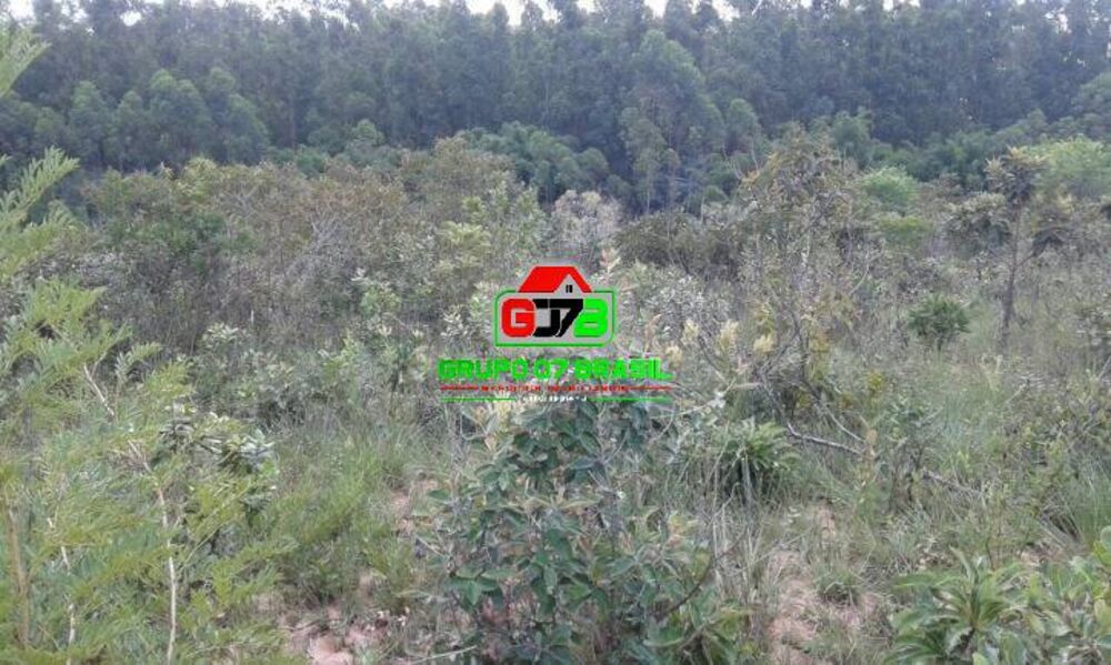 Terreno, 2 hectares - Foto 7