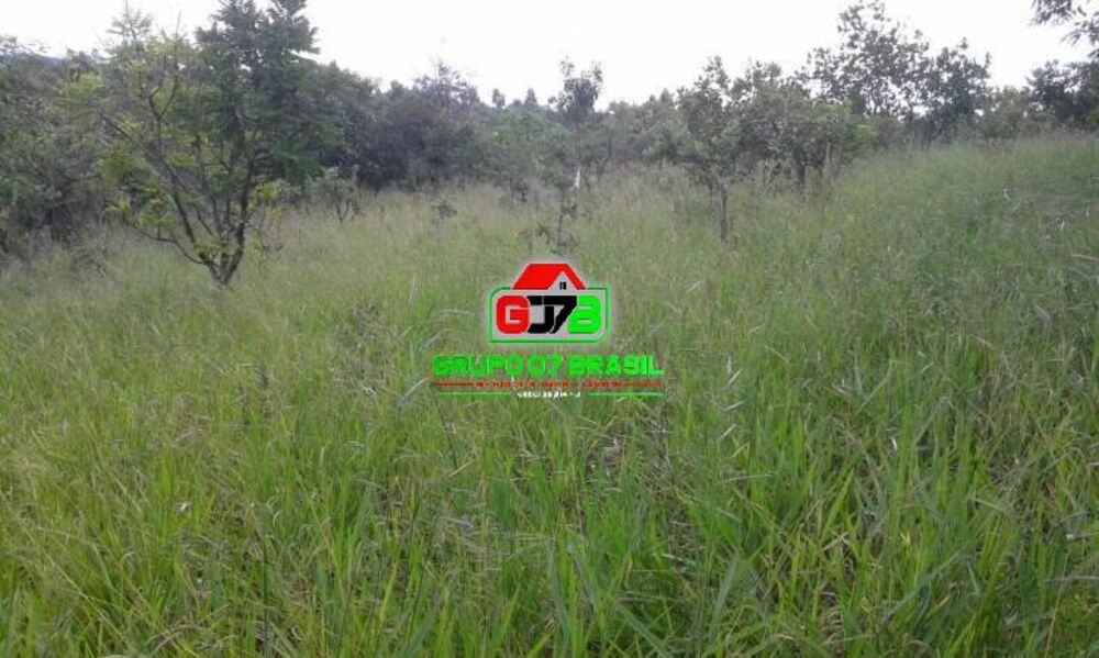 Terreno, 2 hectares - Foto 1
