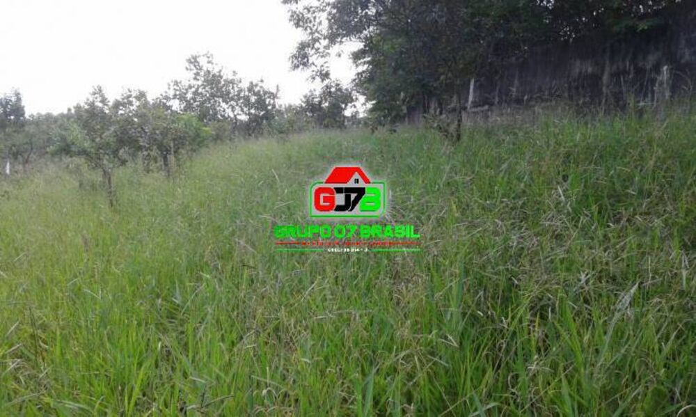 Terreno, 2 hectares - Foto 2