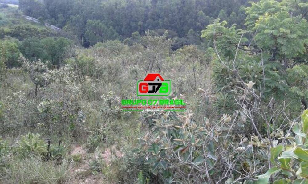 Terreno, 2 hectares - Foto 3