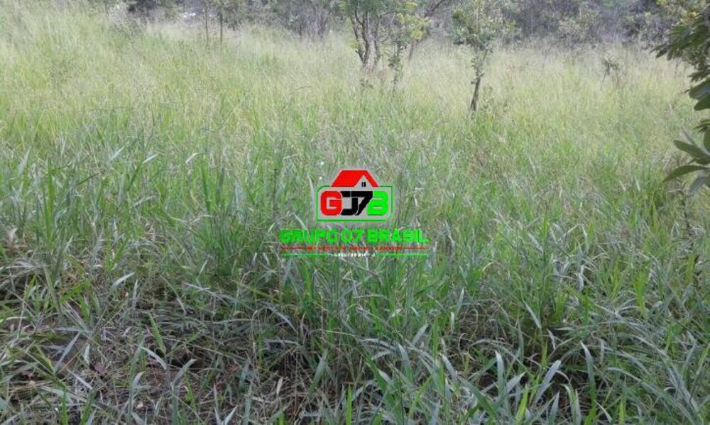 Terreno, 2 hectares - Foto 8