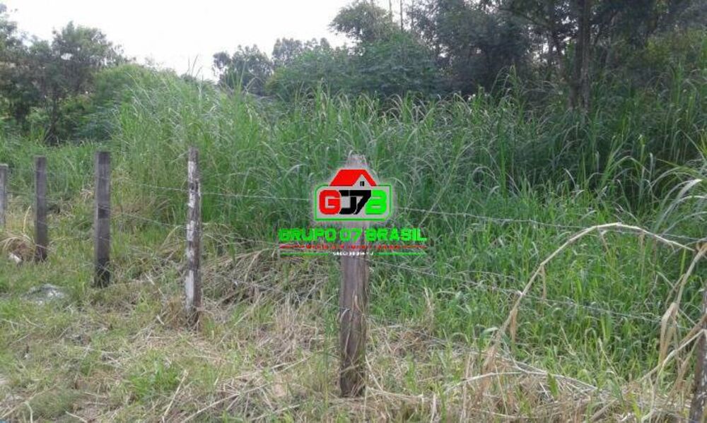 Terreno, 2 hectares - Foto 4