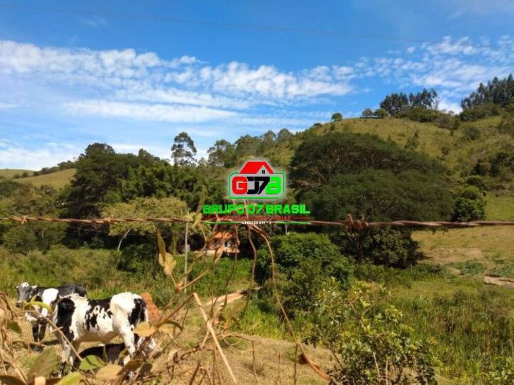Terreno à venda, 91160m² - Foto 3