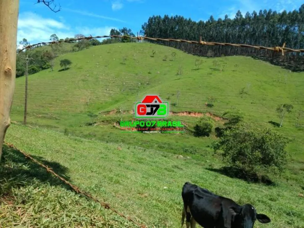 Terreno, 9 hectares - Foto 4