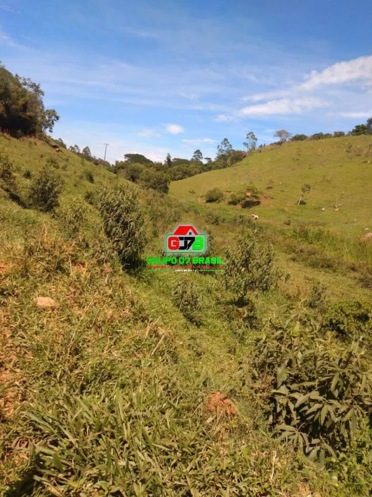 Terreno, 9 hectares - Foto 6