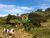 Terreno, 9 hectares - Foto 3
