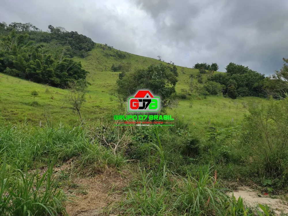 Terreno, 2 hectares - Foto 7
