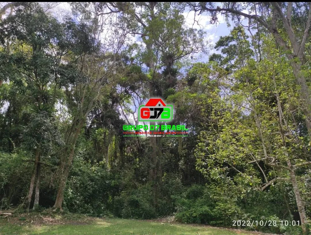 Terreno, 2 hectares - Foto 7