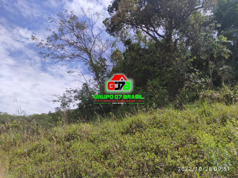 Terreno, 2 hectares - Foto 3