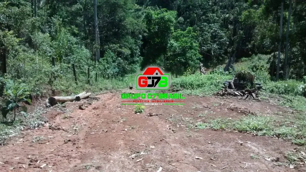 Terreno, 4 hectares - Foto 4